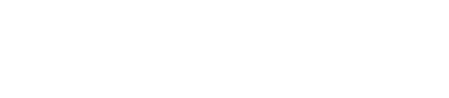 LUNATICTOTO Neon Logo